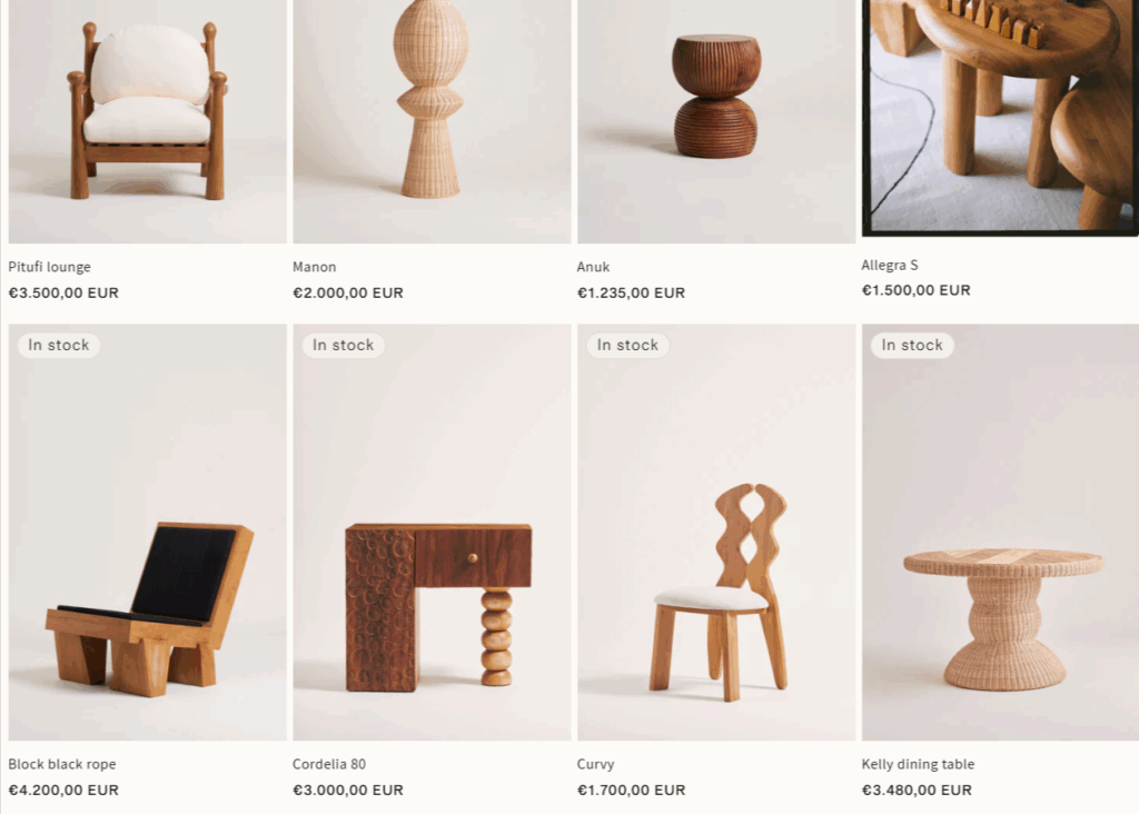shopify website